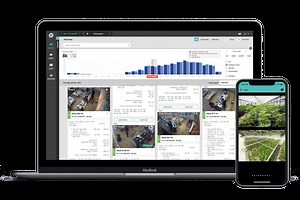 Cannabis security that drives growth