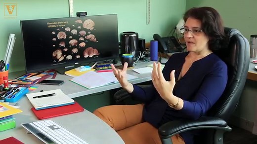 Sorry, Grumpy Cat—Study finds dogs are brainier than cats