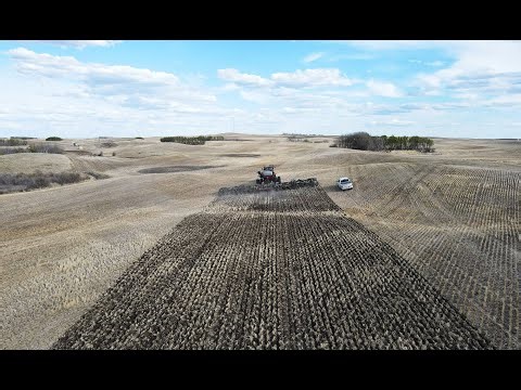 Dutch Agriculture: Universal Series