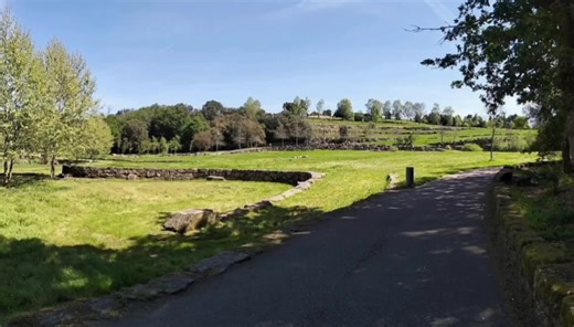 Ana Leal motivacional on TikTok