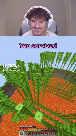 Minecraft Bamboo Bust: How to Build a Bamboo Farm & Meme Ideas
