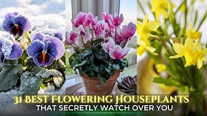 8 beautiful winter flowers that bloom late in the season