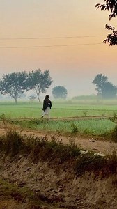 Village vibs 💞💞🌿 | village Life