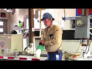 What electricity does to a hot dog (and could do to you)