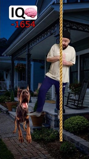 IQ of a Thief entering a Home Protected by a Dog