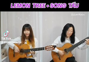 46K views · 800 reactions | LEMON TREE - SONG TẤU | Anh Minh GuiTar | Facebook