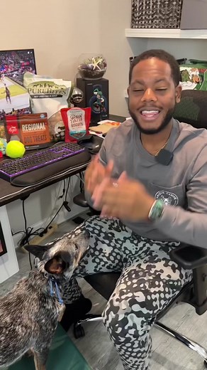 Top 3 Best Dog Treats for Training