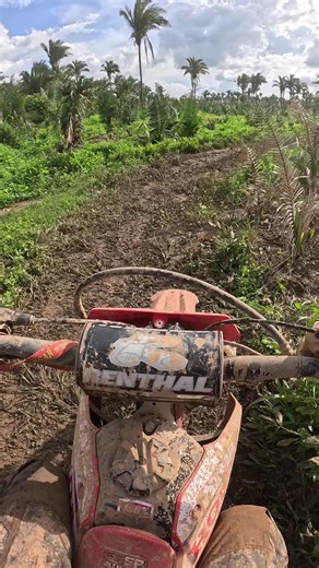 Rally ST 🤩 #crf #crf250f #trilhademoto #viral_video #fyp #braap