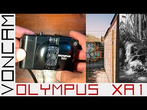 Olympus XA1 - mini XA or hidden gem, the focus-free of the family that packs punch for spontaneity