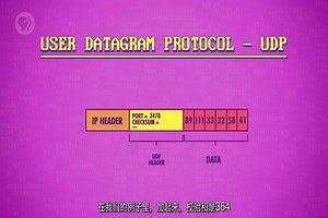 [10分钟速成课：计算机科学]互联网[Crash Course][中文字幕]