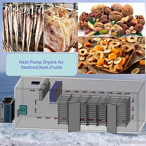 [Hot Item] Fruits Food Drying Chamber Fish Shrimp Octopus Dehydrator Salmon Tuna Cod Oyster Clam Scallop Seafood Heat Pump Dryer Machine for Efficient and Uniform Drying