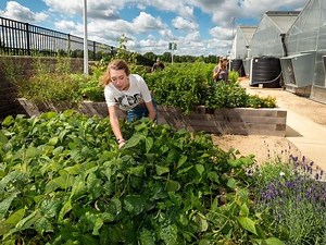 COD Urban Farming Certificate Preps Students for Expanding Industry