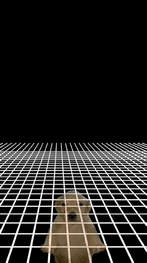 AQUI TE VAN 4 PLANETAS EXTRAÑOS DEL UNIVERSO, PARA NO PERDER LA RACHA | #paralaracha #racha #espacio #universe #datoscuriosos