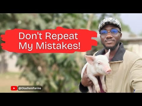 If I Were to Start Pig Farming From Scratch, Here’s What I’d Do Differently