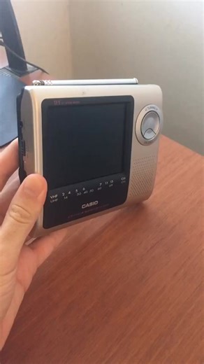 Portable Casio TV Video Monitor for Tech and Video Games