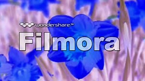 Baby Einstein Language Nursery in G Major