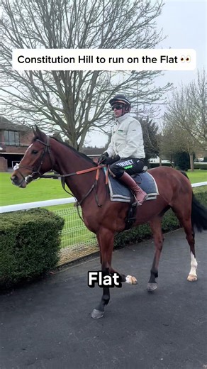Constitution Hill looks set to run at Southwell on February 20th ahead of a Champion Hurdle tilt 👀 Thoughts? #horseracing #horses #horse