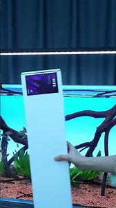 Control Your Aquarium Light from Your Phone — Meet Brite