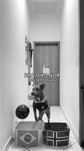 WELL FRIENDS… IT’S OVER 😓😭 #pitbull #worldcup2026 #worldcup #brazilianteam #brazil🇧🇷 #soccer #game