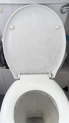 Deep Cleaning Tips for a Sparkling Home