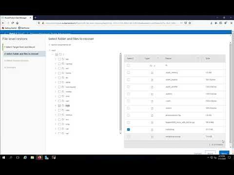 PPDM File Level Recovery