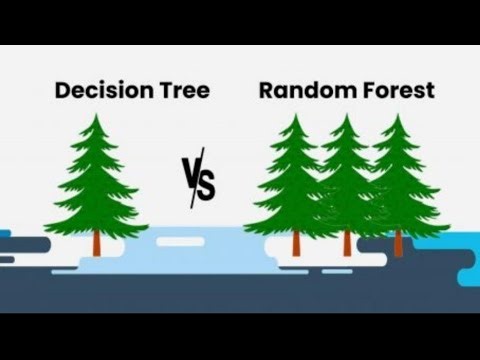 Decision Trees and Random Forests Presentation | Simple Explanation