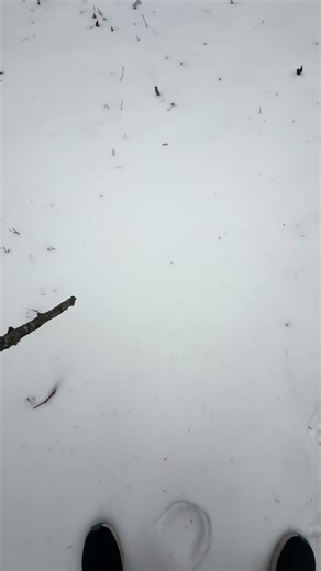 Shrek is love shrek is life 😝😝#shrek #fyp #abcxyz