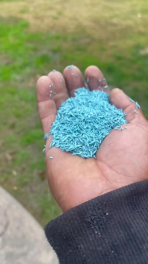 Growing Grass from Seeds: Tips and Techniques