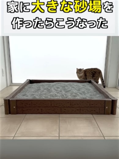 家に大きな砂場を作ったらこうなった｜ポムしまの砂場チャレンジ