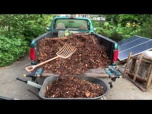 Chicken Compost - Wood chip upgrade!