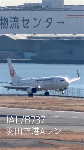 B737/JAL 羽田空港 #shorts