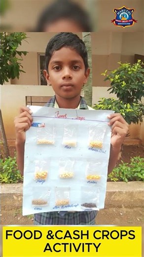 🌾 Food & Cash Crops Activity | Grade IV Students | Social Science Learning