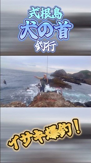 式根島「犬の首」釣行！メジナを狙ったがイサキが爆釣で満足！#short #釣り #式根島 #フカセ