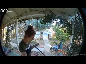 Justine Taylor cruel squatter was dealing fentanyl in my house for 22 months with support from LAPD