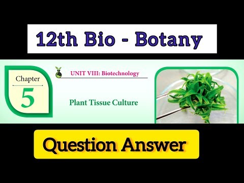 12th bio botany chapter 5 Question answer | Plant Tissue Culture | learn the science