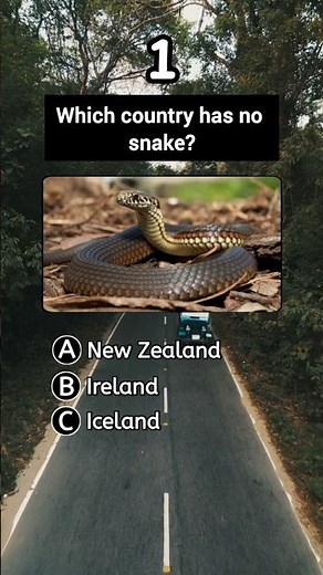 Easy General Knowledge Questions