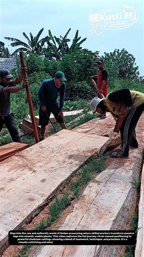 From Raw Logs to Perfect Planks – Real Timber Craft That Hooks You Instantly.