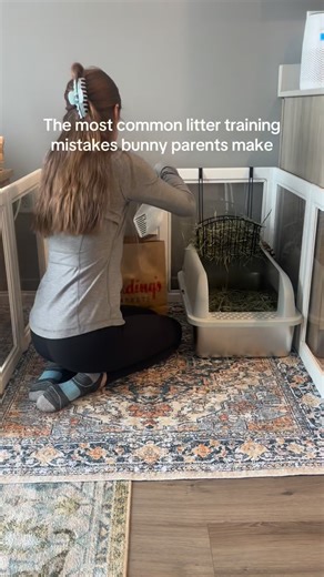 Tess & Bun Bun on Instagram: "The biggest mistakes people make when litter training their bunny 🐰 I have a degree in animal science, and one of the most common things I see is litter training failing because of setup — not because the bunny is “bad” or stubborn. Bunnies learn best when their environment works with their natural behavior. Giving too much space too quickly, using soft surfaces too early, or not creating a clear home base can all slow progress. This short video is a science-based 