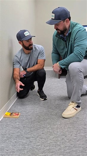 "That's why they call them guys stubby" 🤣 #donttouch #mousetrap #pestcontrol #funny | Alder Pest Control