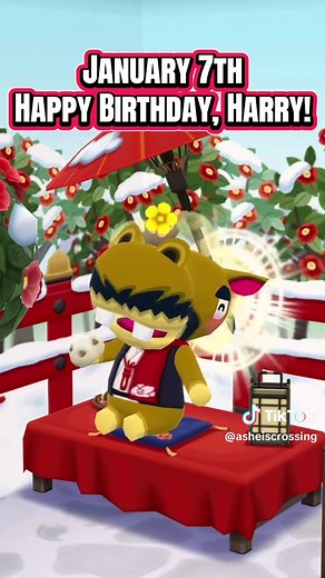 Celebrating Every Birthday in Animal Crossing