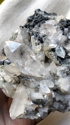 Natural Quartz Crystal Specimen #crystalcollection #gem #gemstone #viralvideo #minerals #shortsfeed