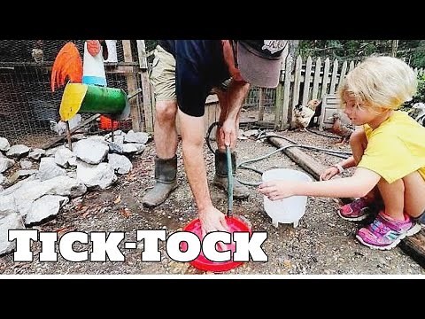 How Long Does It Take To Do Farm Chores? (THE FARM LIFE)