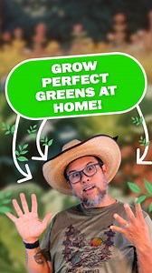 Want the secret to thriving leafy greens? 🥬✨ This is the only way to grow them successfully! Unlock the tips you need for a bountiful harvest. #leafygreens #homegardeningtips #gardenhack #GreenThumbGoals #vegetablegardening | Growing Healthy Food