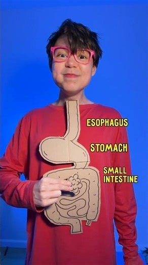 Why We Poop? 💩 #learn #kids #shorts