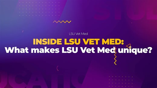 At LSU Vet Med, our graduate programs blend rigorous science, a passion for discovery, and the vibrant culture of Louisiana to create an unmatched learning experience. From scientific breakthroughs to wildlife conservation and everything in between, LSU Vet Med prepares tomorrow’s leaders in industry, research, and academia. #LSUVetMed | LSU School of Veterinary Medicine