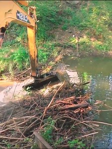 Beaver Dam Removal By Excavator #carpetclean #clean #unclogged #unclogging #dam #beaver #satisfying #asmr | Beaver Dam Removal Team