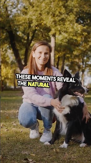 🐾 Canine Heroes – How Dogs Help Humans Daily #Dogs