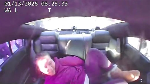 Raw video: Woman accused of attacking FHP trooper tasered in back of patrol car