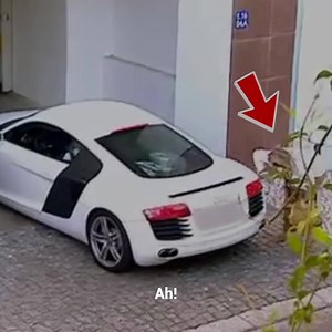 4.3M views · 3K shares | -É este filho do p@#¢ que vai te pagar. -Este quê? -Este filho de p@#¢. O 'Fideo' estava estacionando seu carro quando esbarrou contra uma mulher com seu veículo, bem na frente da polícia, que o prendeu. Então, quando nada podia ser pior, alguém passa e picha o carro do jogador. Então se gerou uma confusão, até que um sujeito misterioso apareceu. Quem surpreendeu o jogador no final dessa bagunça? | Craques | Facebook