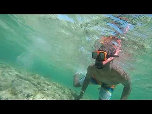 Snorkeling Sapphire Beach in St Thomas
